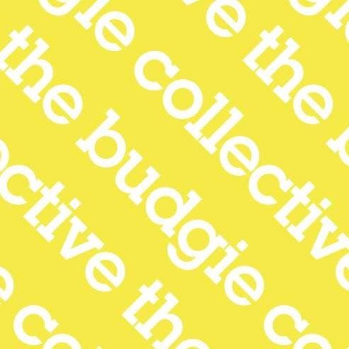 Budgie