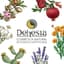 Dehesia