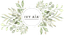 IVY Aia
