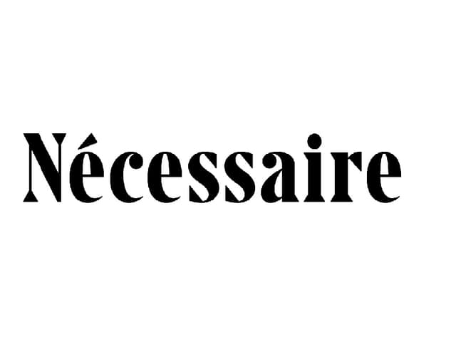 Necessaire
