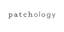 Patchology