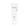BE PLAIN Greenful PH-Balanced Cleansing Foam