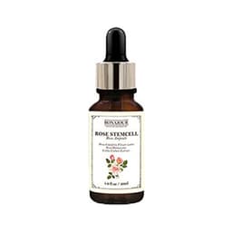 Rose Stem Cell Ampoule