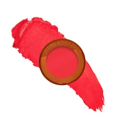Yummy Skin Blurring Balm Powder Flushed review