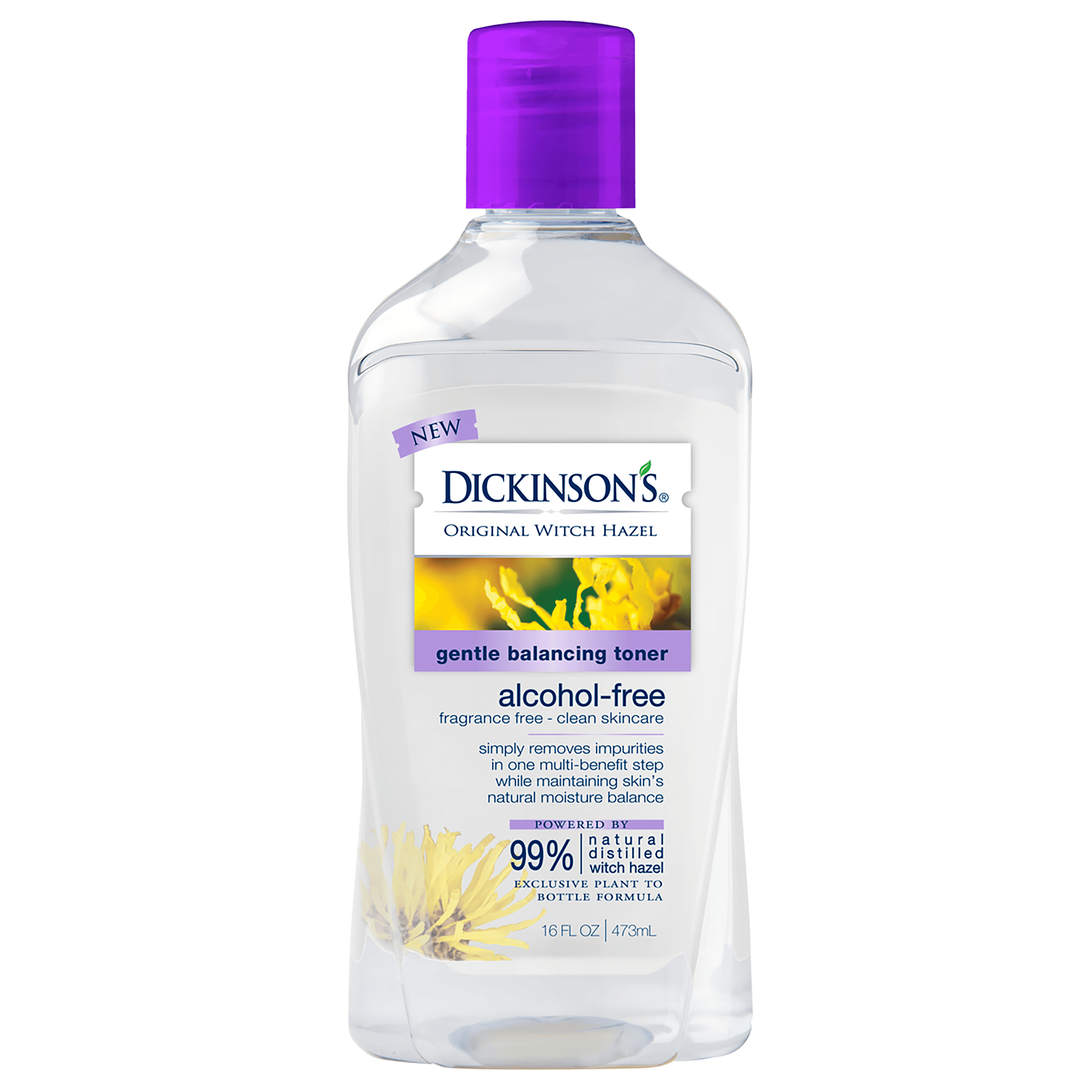 Gentle Balancing Toner, Alcohol-Free