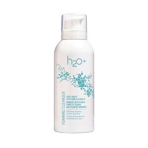 Face Oasis Foam Cleanser