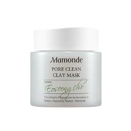 Pore Clean Clay Mask