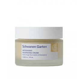 Antioxidant Nourishing Cream review