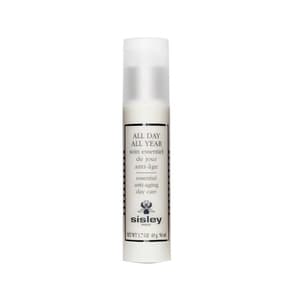 All Day All Year
