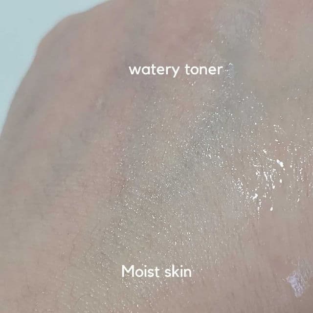 Honey Zip Agave Moisture Toner review photo by pyskhim