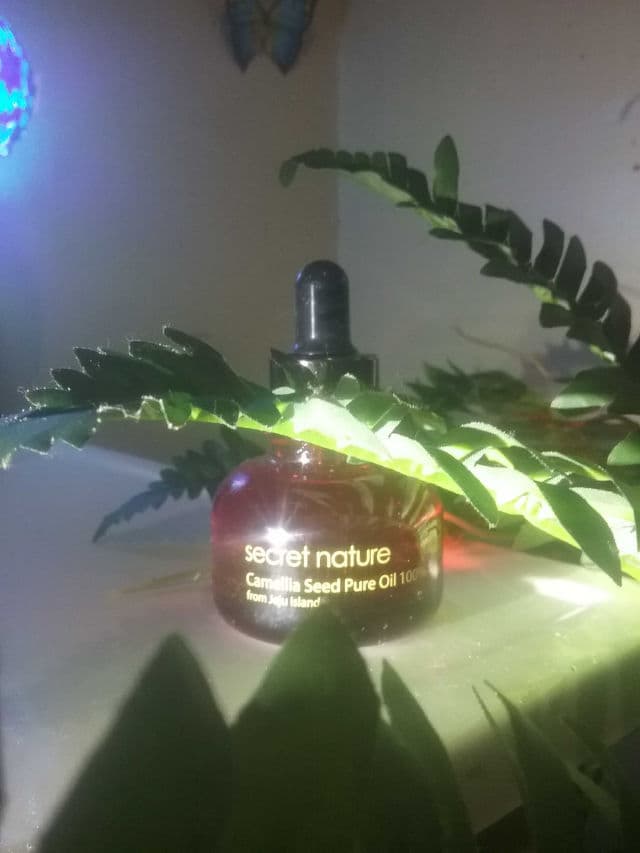 Secret Nature Camellia Seed Pure Oil review photo by Picky36781
