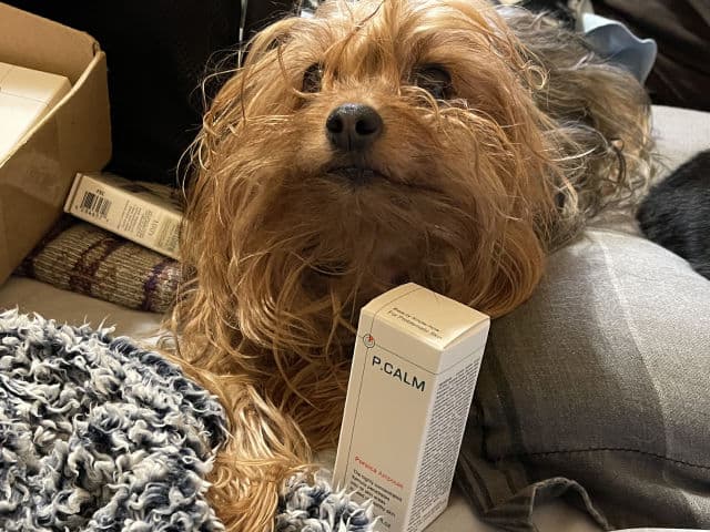 P.CALM Porsica Ampoule review photo by Mannika