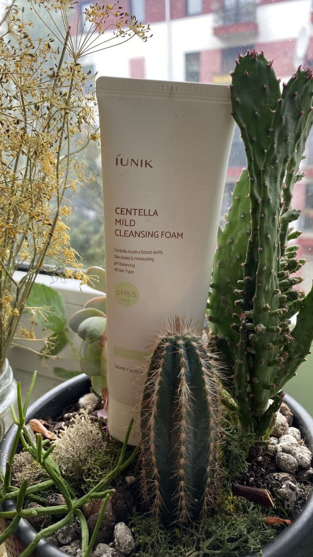 Iunik Centella Mild Cleansing Foam review photo by mdute