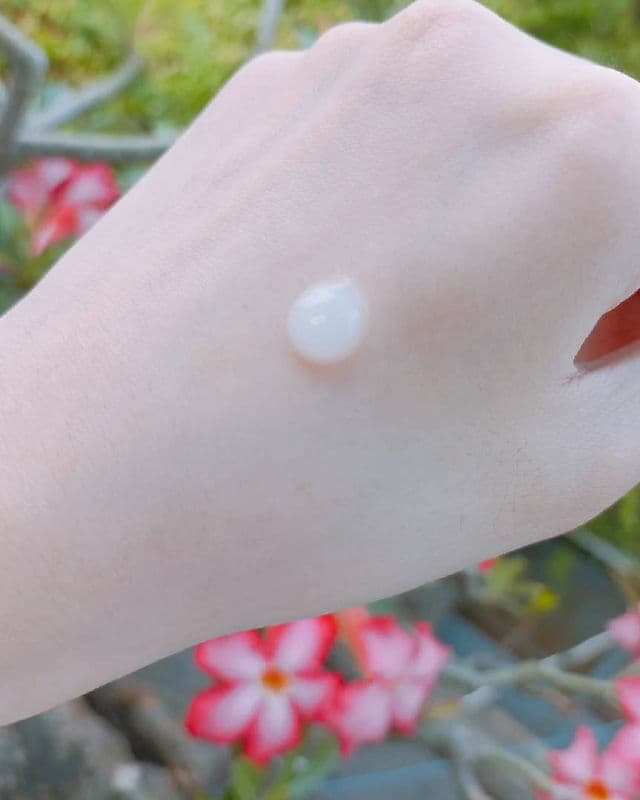 LICORNE Glow Vita Cream review photo by alice456