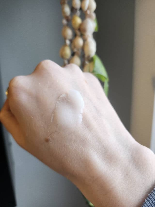 Clean It Zero Classic product review