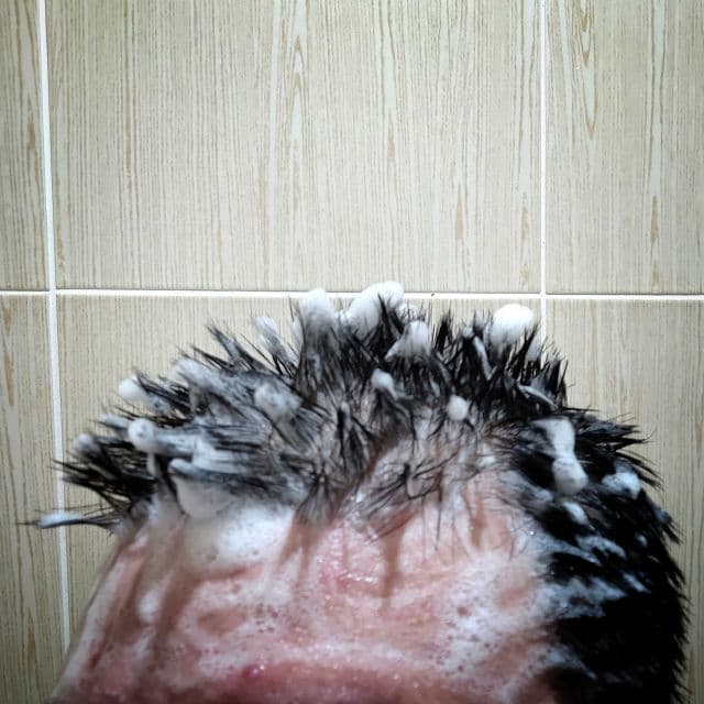 Kerasys Stem Rootense Anti Hair Loss Scalp Cooling Shampoo review photo by danielwonderland