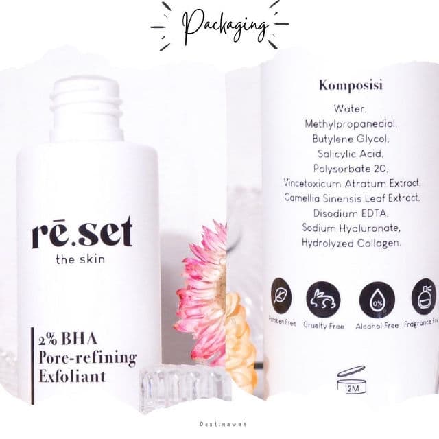 Reset The Skin 2% BHA Pore-Refining Exfoliant review photo by Destinawah