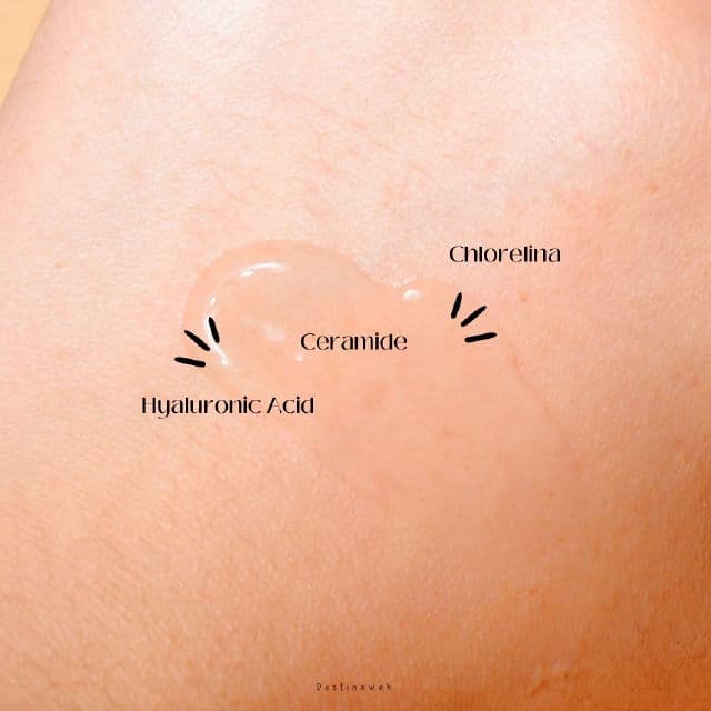 The Originote Hyalucera Moisturizer - Hyaluronic Acid + Ceramide + with Chlorelina review photo by Destinawah