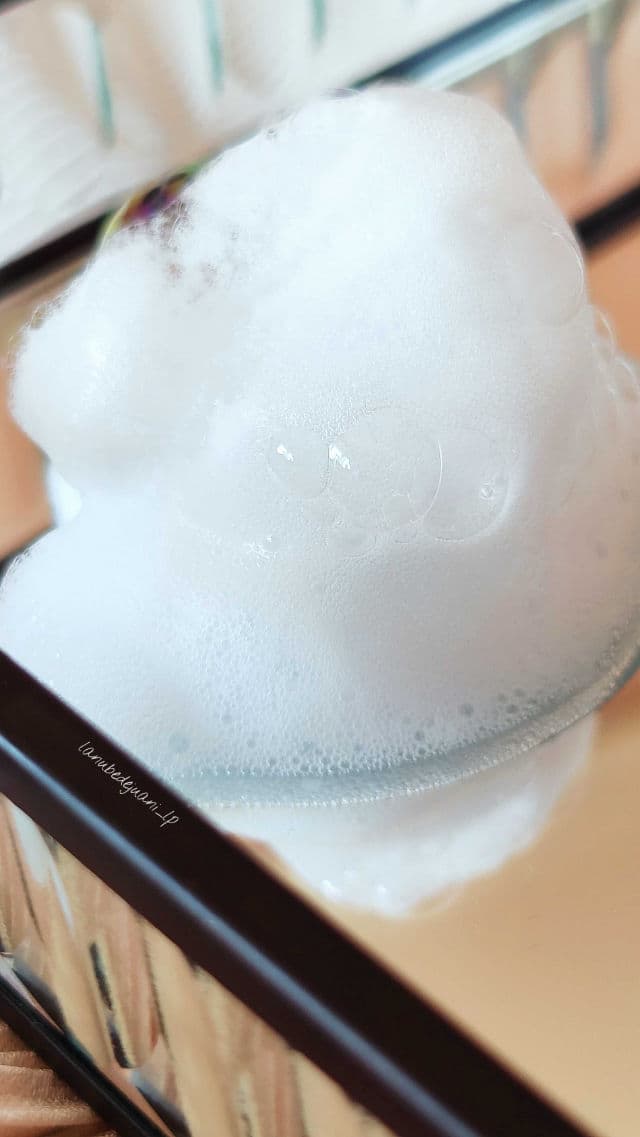 Schwanen Garten Antioxidant Foaming Cleanser review photo by lanubedejuanilp