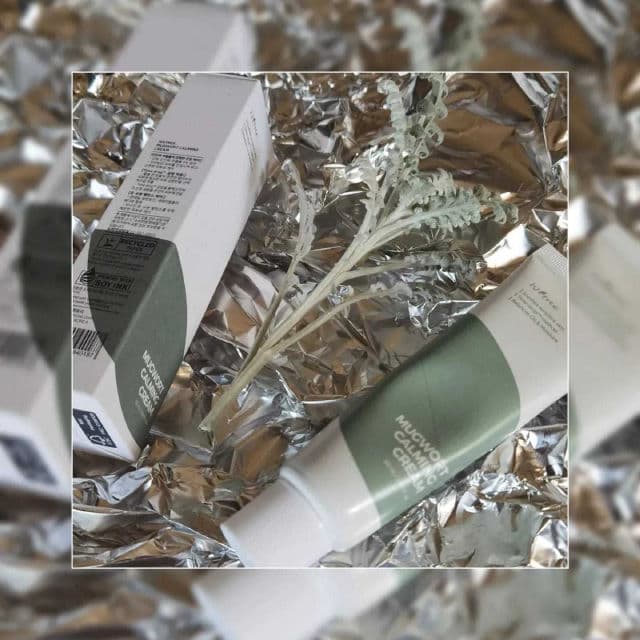ISNTREE Mugwort Calming Cream review photo by everlastingbloom
