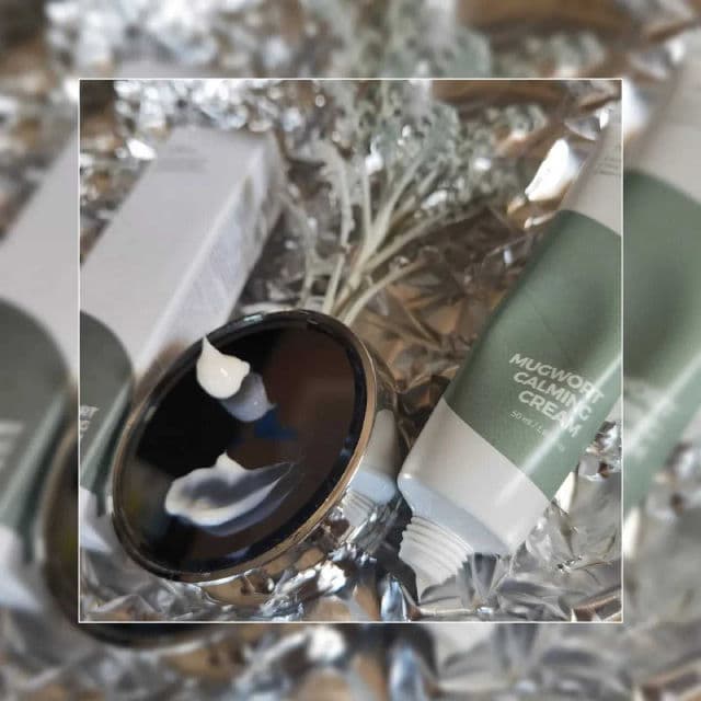 ISNTREE Mugwort Calming Cream review photo by everlastingbloom