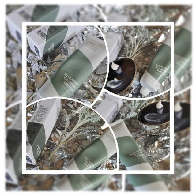 ISNTREE Mugwort Calming Cream review photo by everlastingbloom