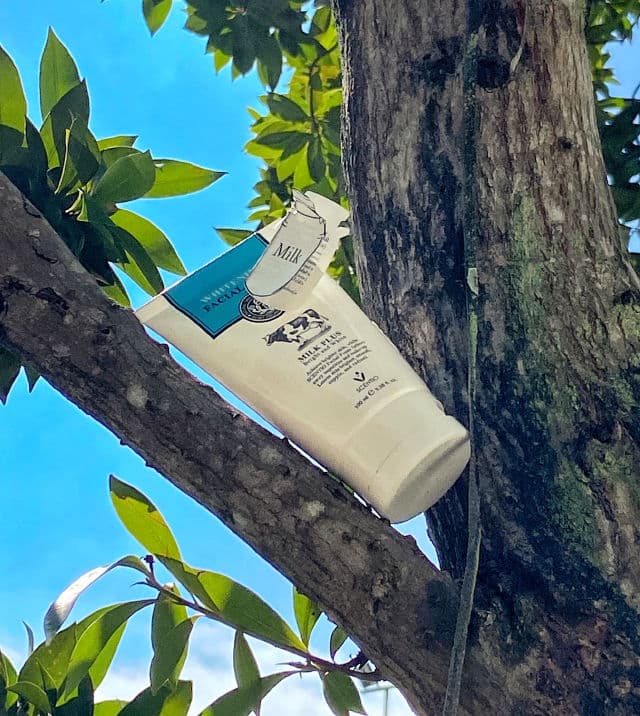 Beauty Buffet Scentio Milk Plus Whitening Facial Foam review photo by Jskinsharing