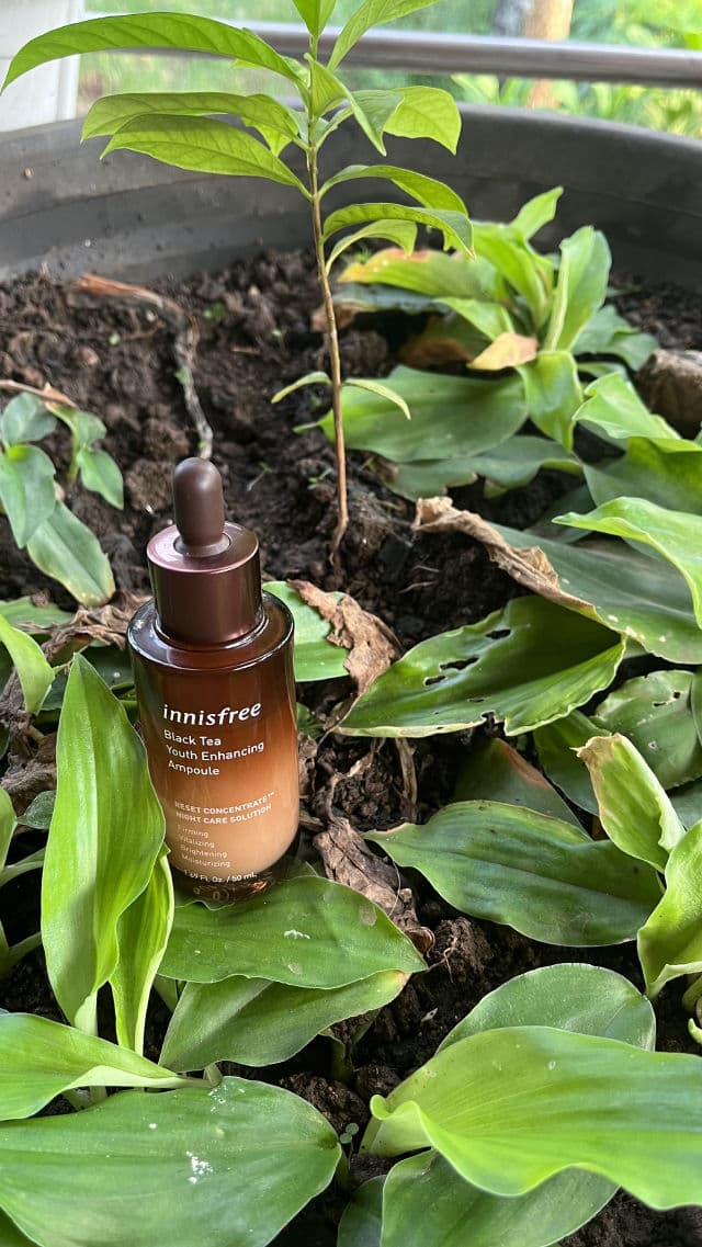 Black Tea Youth Enhancing Ampoule product review