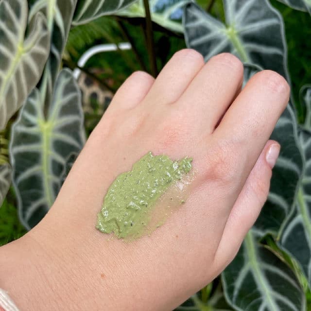 PAPA RECIPE Tea Tree Control Mud Cream Mask review photo by nikaborsch