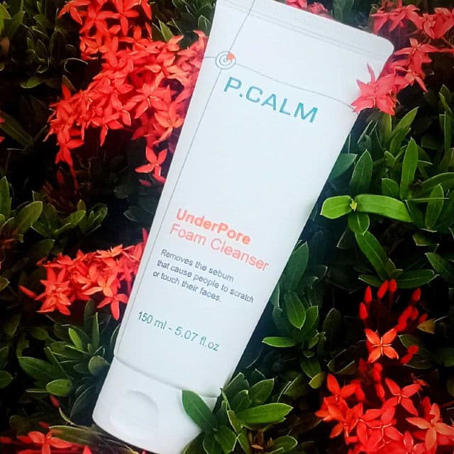 UnderPore Foam Cleanser product review
