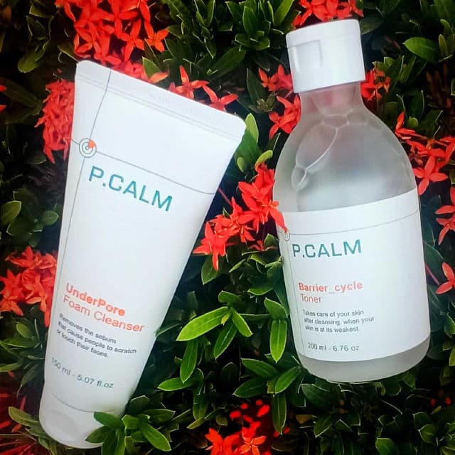 UnderPore Foam Cleanser product review