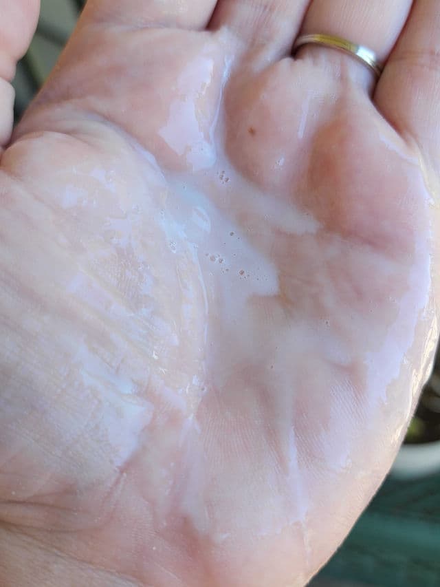 Dr. Zenovia Bakuchiol Hydrating Cleanser review photo by Researching4Beauty
