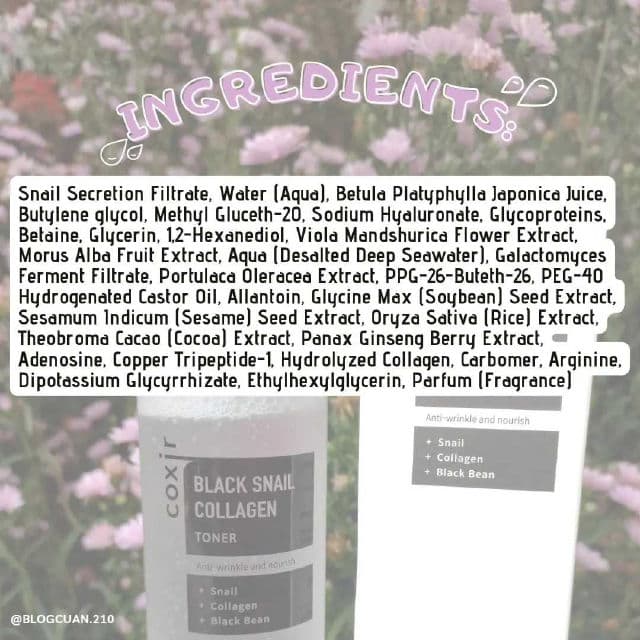 Coxir Black Snail Collagen Toner review photo by Blogcuan