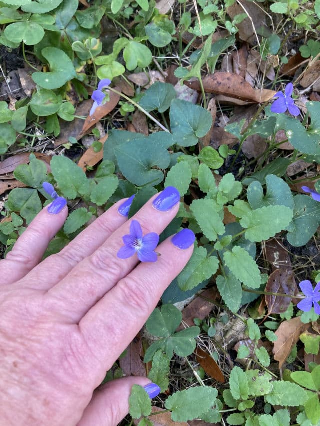 Nailtopia Disney's 100th Anniversary Collection review photo by jaxgma2020