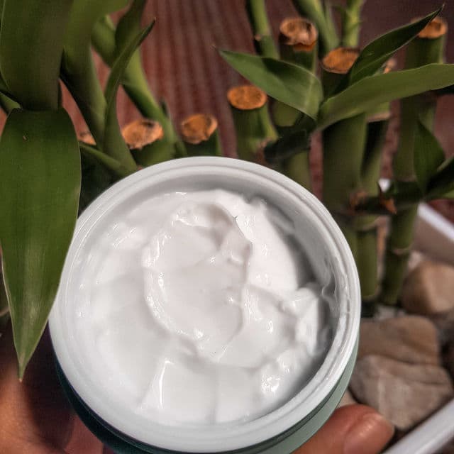 Farmstay Tea Tree Biome Calming Cream review photo by gabeesphere