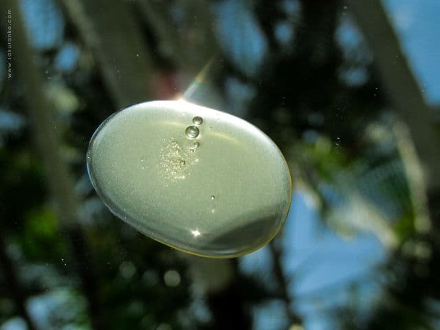Yadah Green Tea Pure Cleansing Gel  review photo by Sakuranko