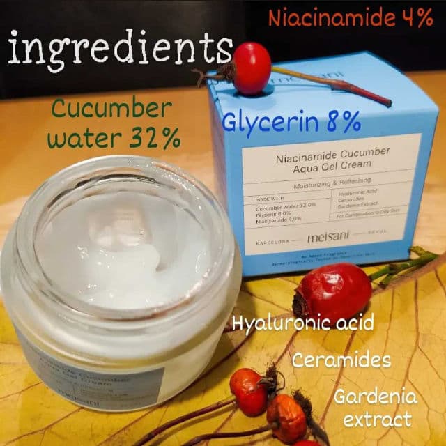 Niacinamide Cucumber Aqua Gel Cream product review