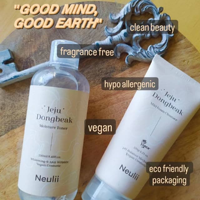 Jeju Dongbeak Mild Foam Cleanser product review