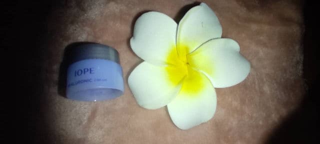 IOPE Hyaluronic Cream review photo by mamalisa
