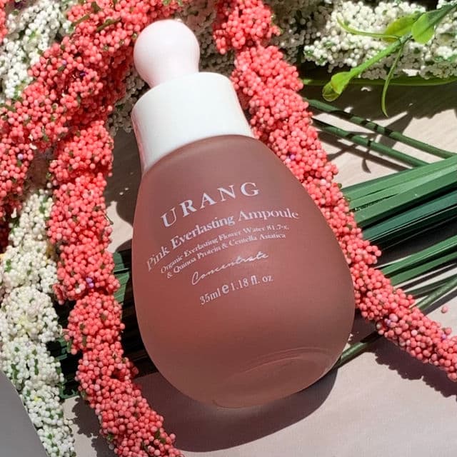 Urang Pink Everlasting Ampoule review photo by BoxyLady