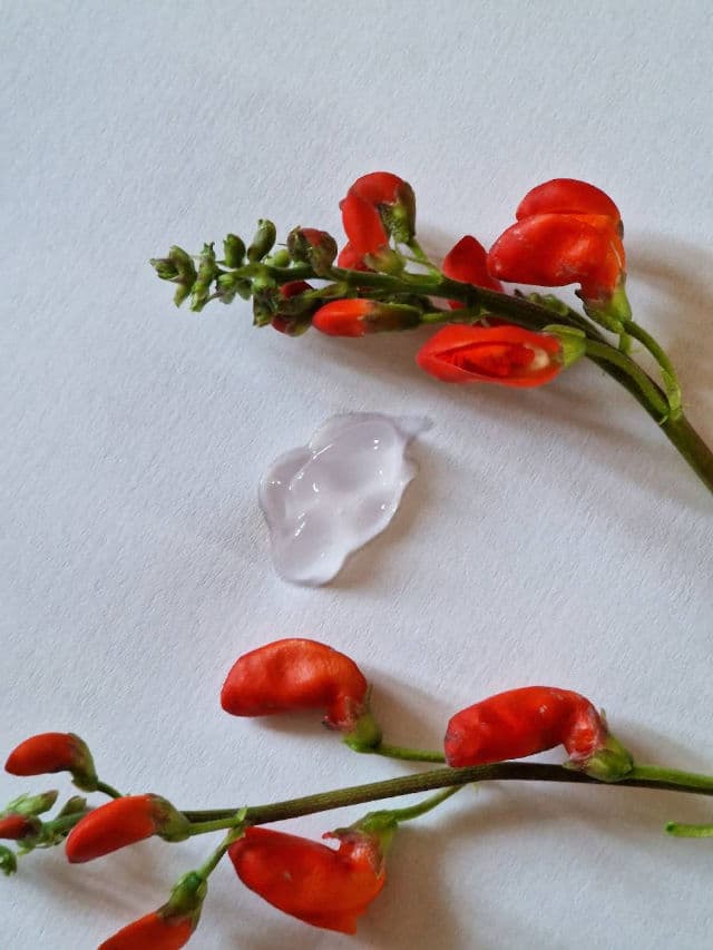 BEAUTY OF JOSEON Red Bean Water Gel review photo by Immortelle