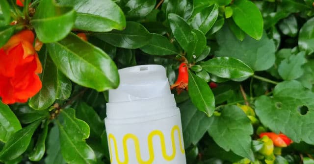 Vitamin C Brightening Sun Serum SPF50+ PA++++  product review