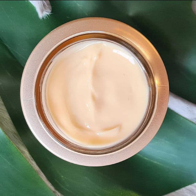 Benefiance Overnight Wrinkle Resisting Cream product review