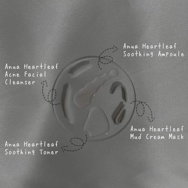 ANUA Heartleaf Gentle Facial Cleanser review photo by rclsnjn