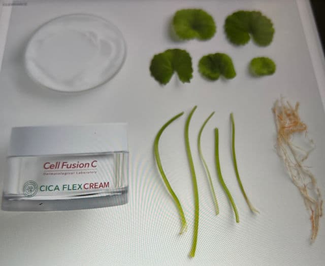 Cell Fusion C Cica Flex Cream review photo by Spicesofbeauty