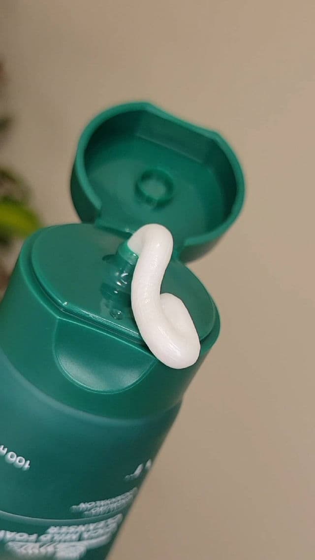 VT COSMETICS Cica Mild Foam Cleanser review photo by JillF