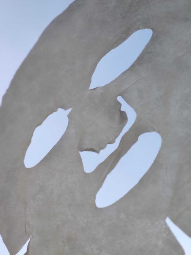 Torriden Dive-In Low-Molecular Hyaluronic Acid Facial Sheet Mask review photo by protectorsolarforeve