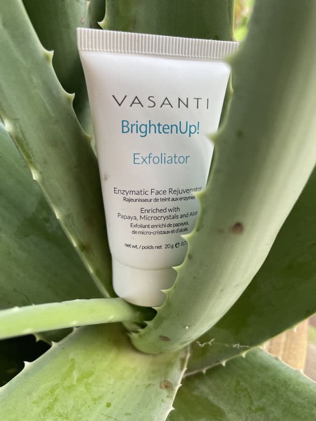 Vasanti Brighten Up! Enzymatic Face Rejuvenator review photo by EastCoastLiving