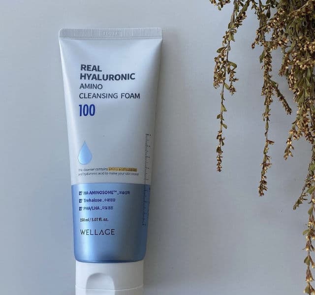 Wellage Real Hyaluronic Amino Cleansing Foam review photo by skincarebyreign