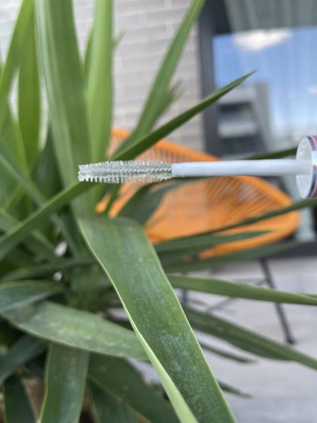 ETUDE My Lash Serum review photo by GossipEve